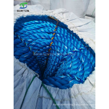 Cheap Blue PP/Polypropylene/Plastic/PE/Fishing/Marine/Mooring/Twist/Twisted Danline Rope for Philippines